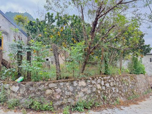 Nhà mới Phường Phú Thạnh, thoáng mát, hẻm xe hơi, gần mặt tiền